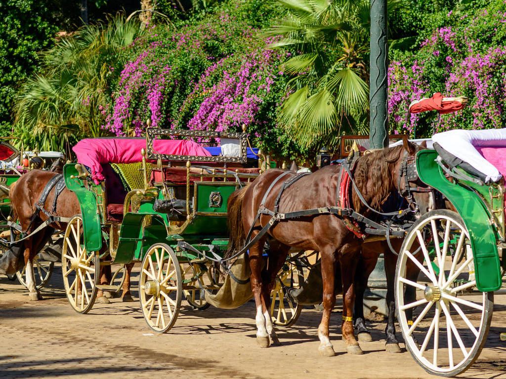 les-meilleures-excursions-a-marrakech-en-2026-pour-les-etrangers
